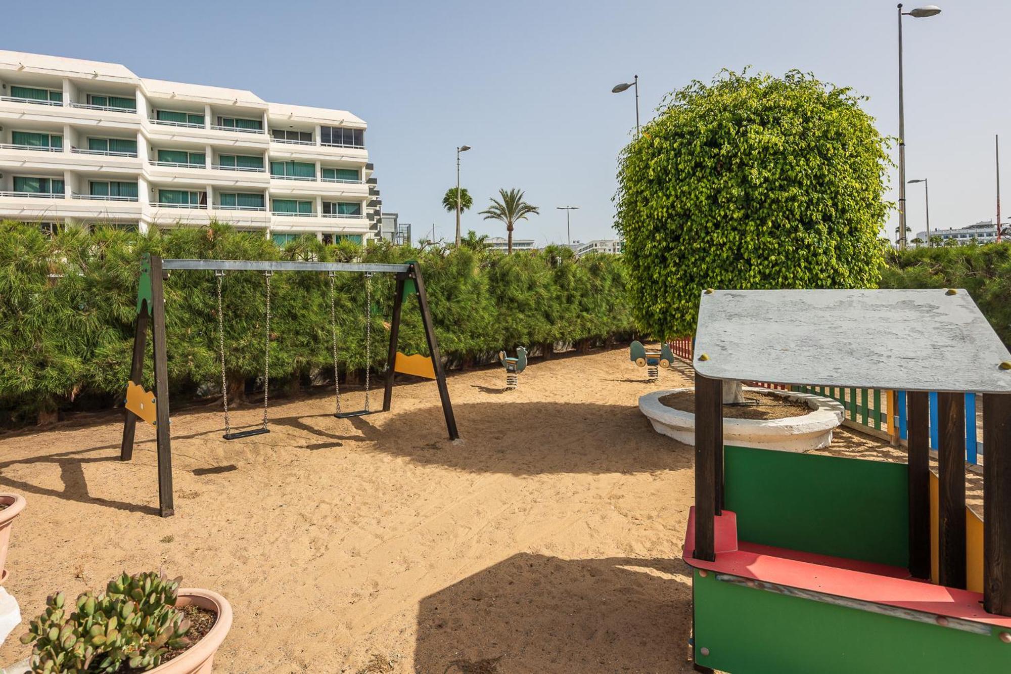 Ficus, Maspalomas * Playa del Inglés