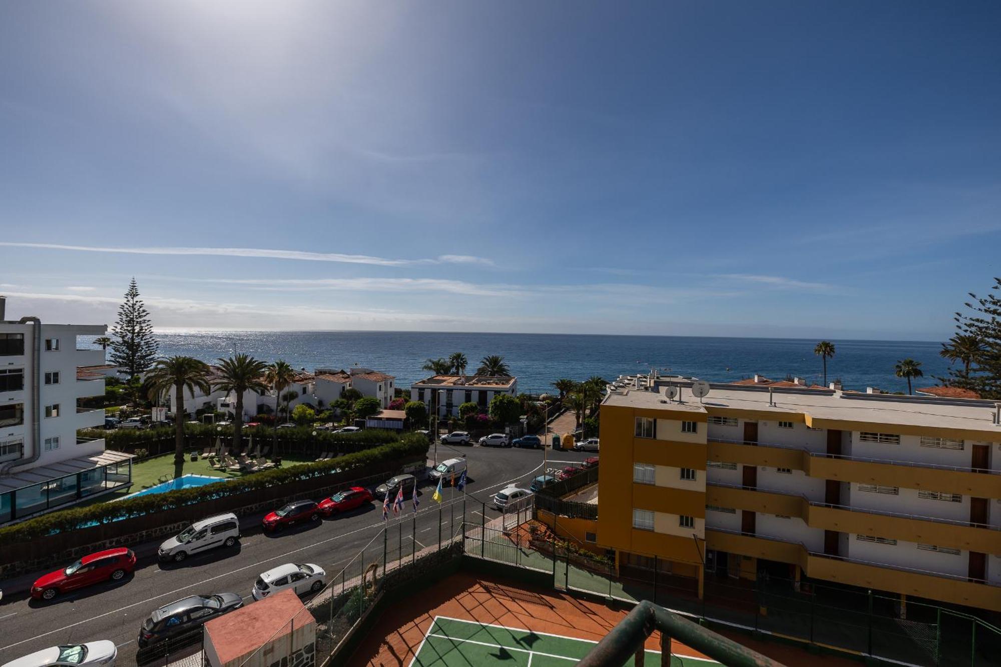 Ficus, Maspalomas Playa del Inglés