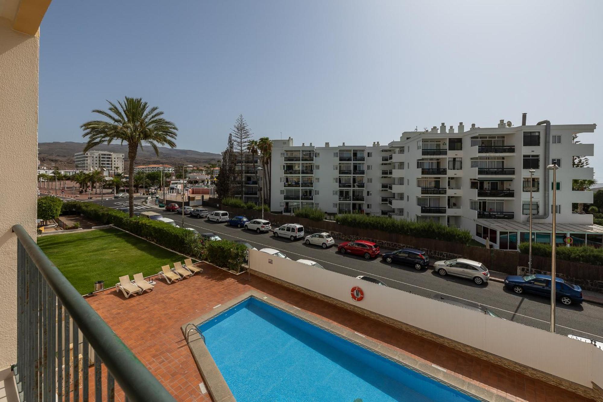 Ficus, Maspalomas
